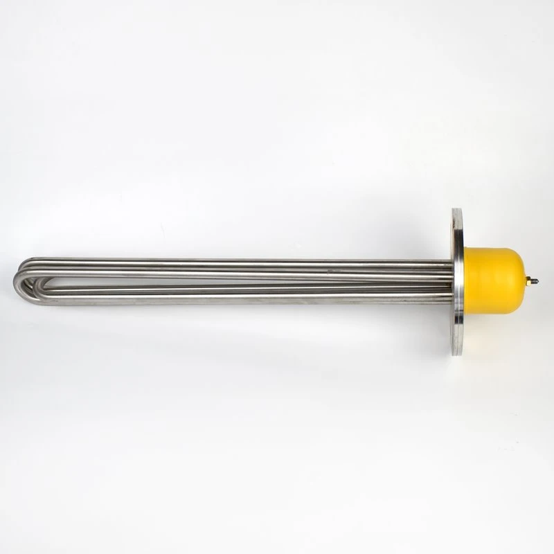 Flange type immersion heater